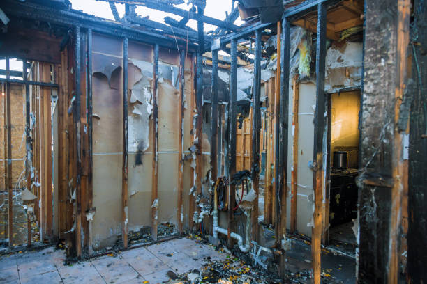 Professional Odor Removal technician working in Orange, CA